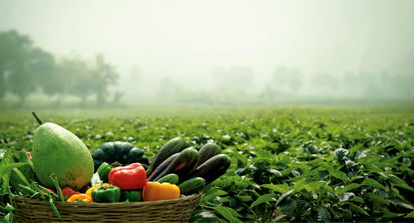 Organic Farming